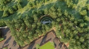 codename you Forest Walk with Compacted Soil