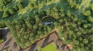 codename you Forest Walk with Compacted Soil