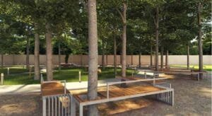 Codename you Tree Court